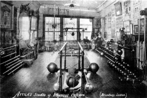 Professor Attila’s Athletic Studio