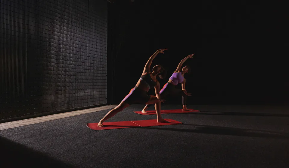 Crossing the wellness chasm